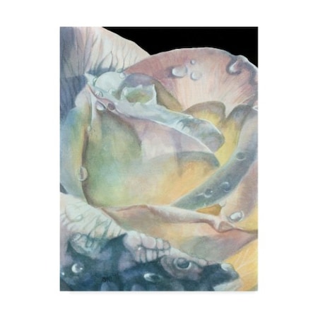 Barbara Keith 'Sparkler' Canvas Art,14x19